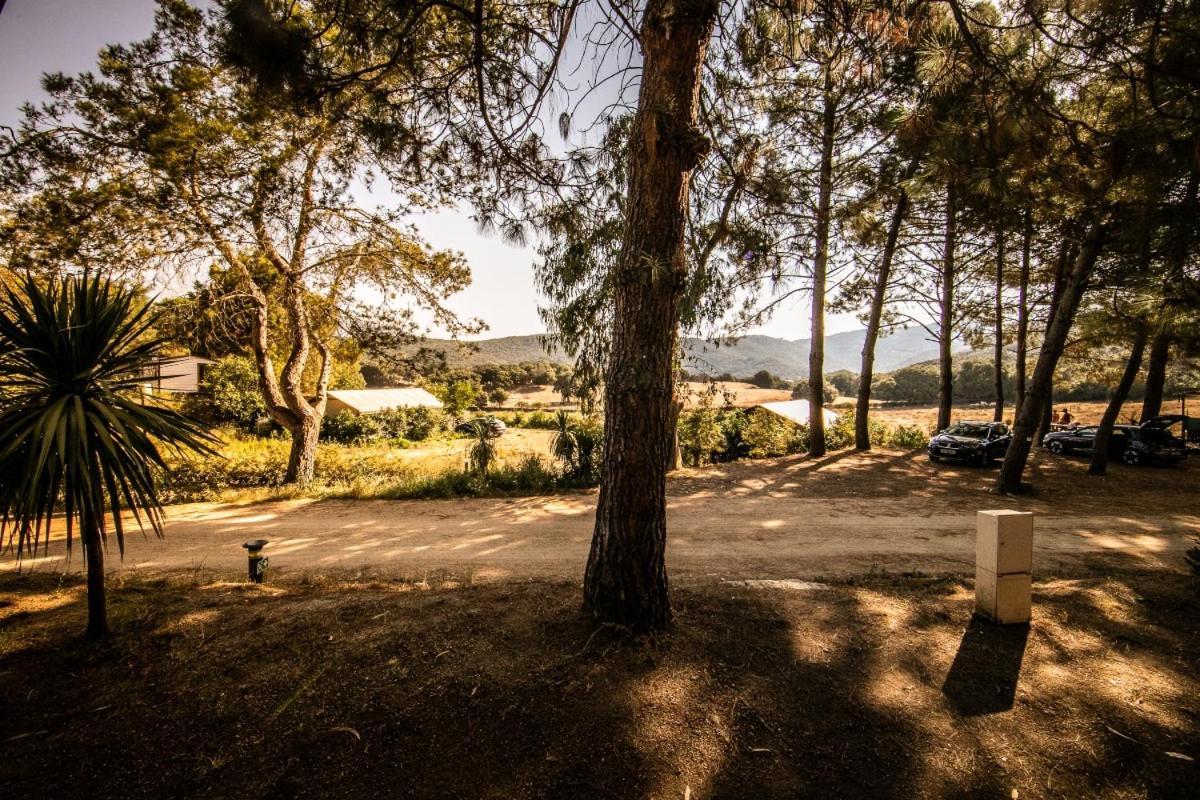 Camping Olva - Maeva サルテーヌ エクステリア 写真
